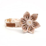 Rainbows Signature Band™ + Slide-On Bloomtie™