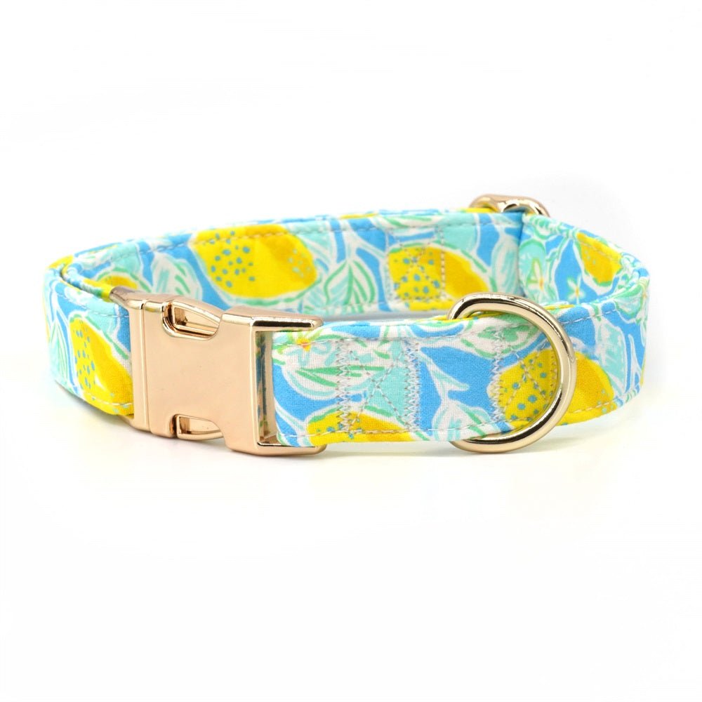 Summer Lemons Unbreakable Collar™