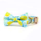 Sunny Lemons Signature Band™ + Slide-On Dappertie™ + Joyline™