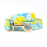 Sunny Lemons Joyline™ Leash – 100 % Cotton Shell
