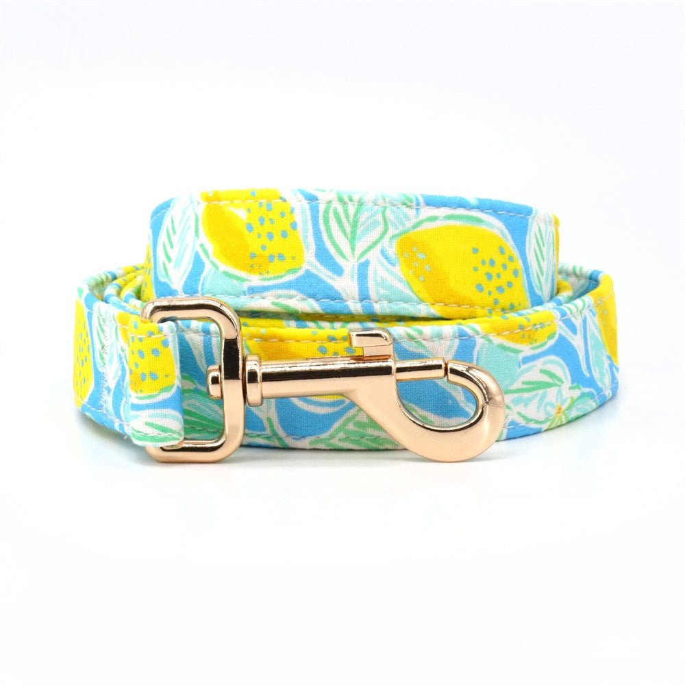 Summer Lemons Bowtie Unbreakable Collar™ & Leash Set