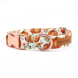Pup-kin Spice Signature Band™ + Slide-On Dappertie™
