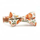 Pup-kin Spice Signature Band™ + Slide-On Dappertie™