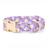 Purple Daisy Signature Band™ - Crafted Collar