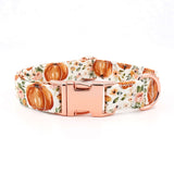 Pup-kin Spice Signature Band™ + Slide-On Dappertie™