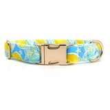 Sunny Lemons Signature Band™ - Crafted Collar