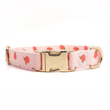 Peach Blush Signature Band™ + Slide-On Dappertie™