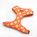 Tangerine Dreams AllSet™ Harness – Adjustable Bliss