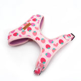 Strawberry Shortcake AllSet™ Harness – Adjustable Bliss