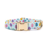 Egg Candies Signature Band™ + Slide-On Dappertie™ + Joyline™