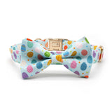 Egg Candies Signature Band™ + Slide-On Dappertie™