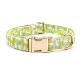 Bunny Fields Signature Band™ + Slide-On Dappertie™ + Joyline™
