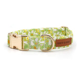 Bunny Fields Signature Band™ + Slide-On Dappertie™ + Joyline™