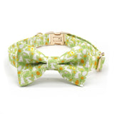 Bunny Fields Signature Band™ + Slide-On Dappertie™