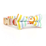 Santa Monica Signature Band™ + Slide-On Dappertie™