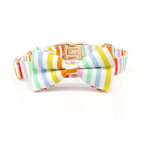 Santa Monica Signature Band™ + Slide-On Dappertie™