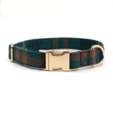 best-dog-collars