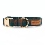 best-dog-collars