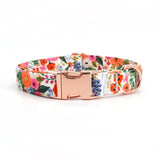 dog collar with name for girls and boys - customized dog collars - best dog collars Canada