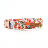 dog collar with name for girls and boys - customized dog collars - best dog collars Canada