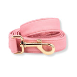 best dog leash