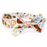 bowtie collar for dog
