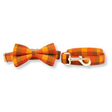 dog bowtie collar and leash