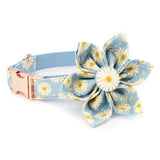 girl dog collars