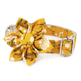 dog flower collar