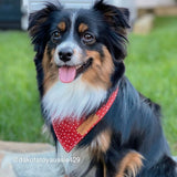 Best Dog Bandanas for Girls and Boys - Cute Puppy Bandanas - Dog Bandanas Canada - Red Polka Dot Pattern Bandana 