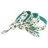 puppy collar harness and leash set