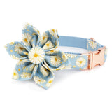 dog collar with flower bow