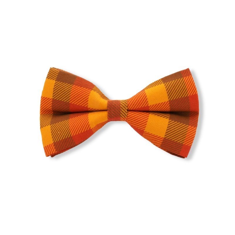 dog bow tie collar