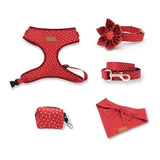 Red Polka Dot Signature Bloomtie™ - Mega Bundle