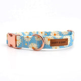 Sunny Daisy Signature Band™ - Crafted Collar