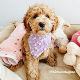 Best Cute Puppy Bandanas for Dogs Girls and Boys - Dog Bandanas Canada - Daisy Pattern Bandana