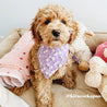 Best Cute Puppy Bandanas for Dogs Girls and Boys - Dog Bandanas Canada - Daisy Pattern Bandana