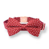 dog collar with name for boys and girls - cutest bow tie for dogs - dog collars canada - Polka dot pattern collars for dogs