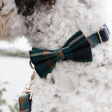 dog collars with bows and flowers for wedding with matching leash - dog flower collar wedding