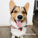 Bow tie collar for dogs - Dog bow tie attach to collar