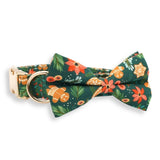 Personalized dog bow tie collar - dog bow tie collar large - cute dog collars with bows