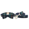 boy dog collar with bow for wedding - dog collar and leash canada - dog collar and leash 