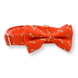 Coral Fetch Signature Band™ + Slide-On Dappertie™ + Joyline™