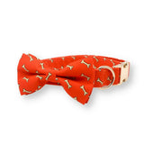 Coral Fetch Signature Band™ + Slide-On Dappertie™