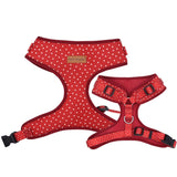 best dog harness for walking boys and girls - Polka Dot pattern harness for puppy