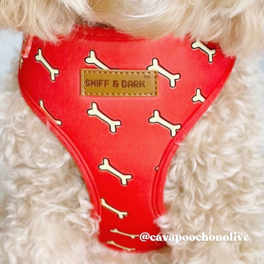 cute dog harness for large dogs - best dog harness canada - best dog harness for walking