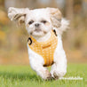 best escape proof dog harness - cutest dog harness for small dogs