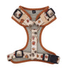 best dog harness canada - best dog harness for walking