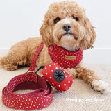 Red Polka Dot leashes for dogs - dog leash for walking - dog leash canada
