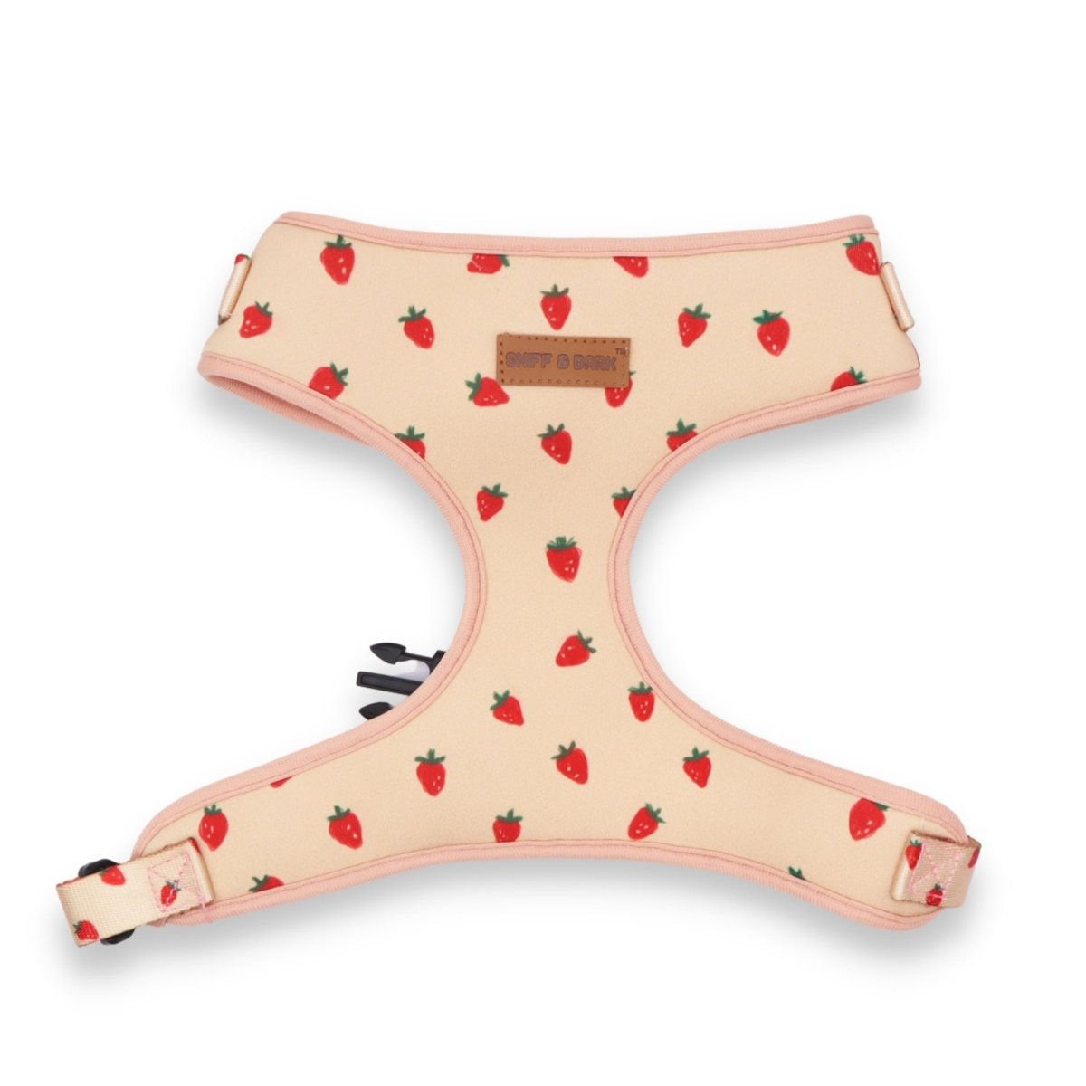 Strawberry Dog Harness & Leash Set